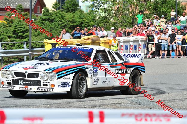 DSC_7884.JPG